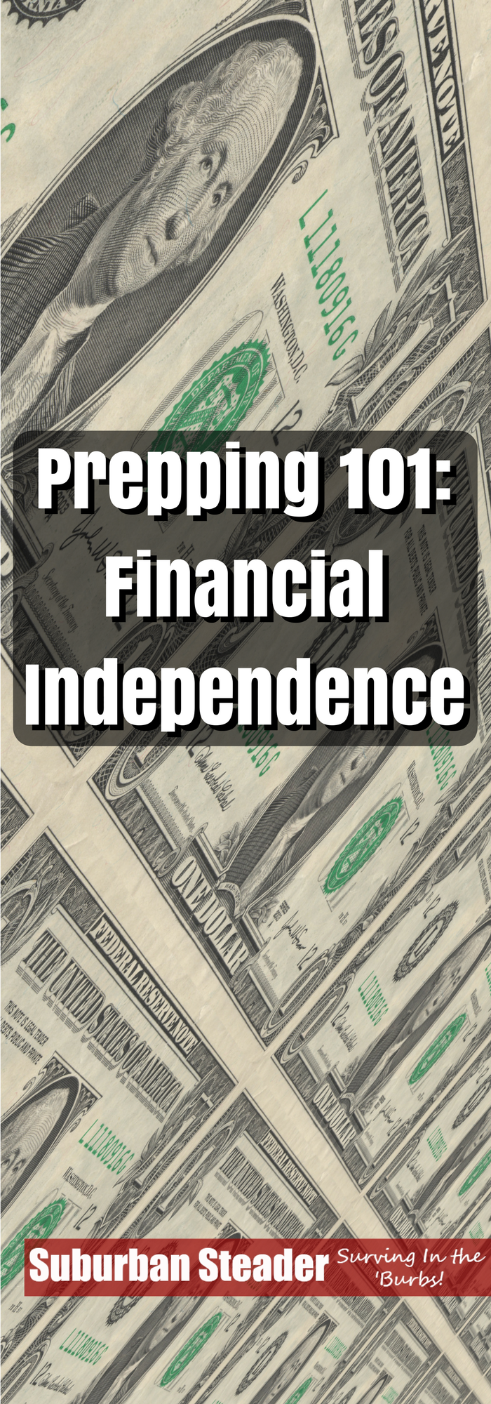 Prepping 101: Financial Independence