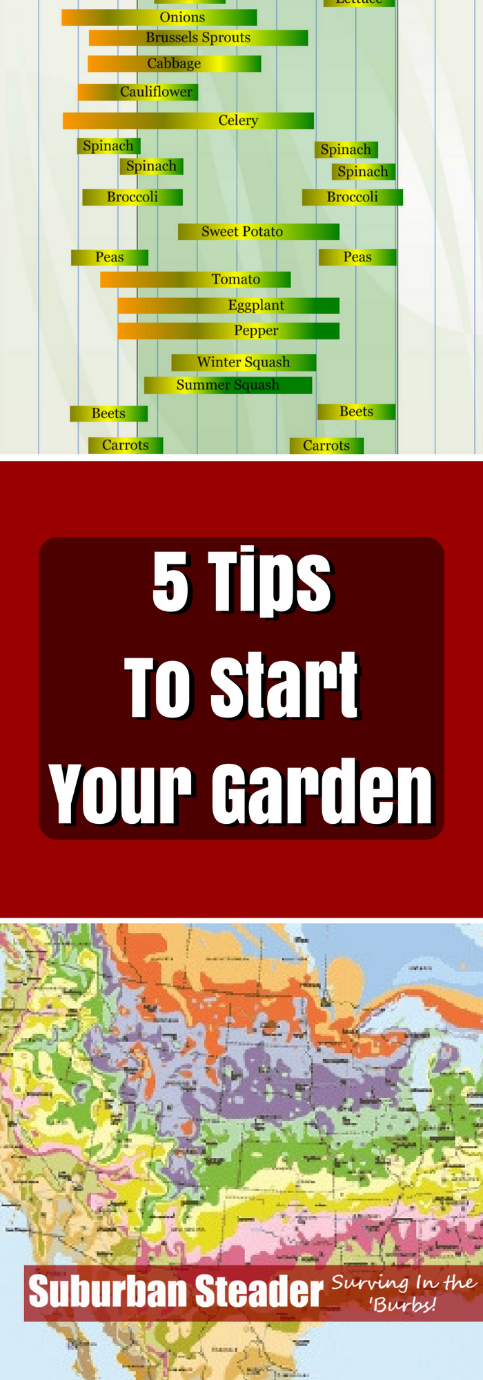 5 Tips To Start Your Own Garden