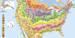 Hardiness Zone - Plant Your Summer Garden