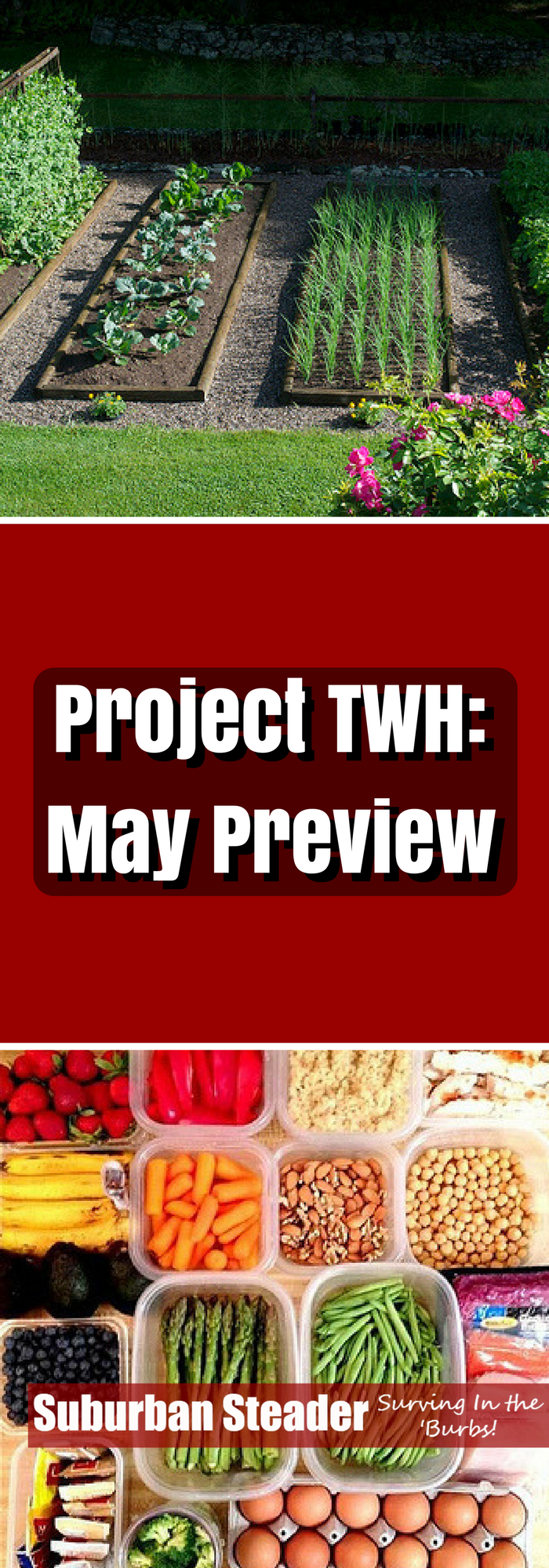 May Preview - Project TWH