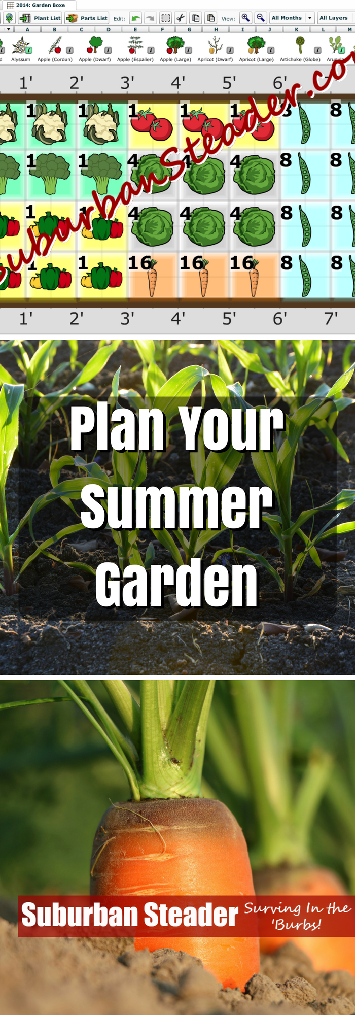 Plan Your Summer Garden
