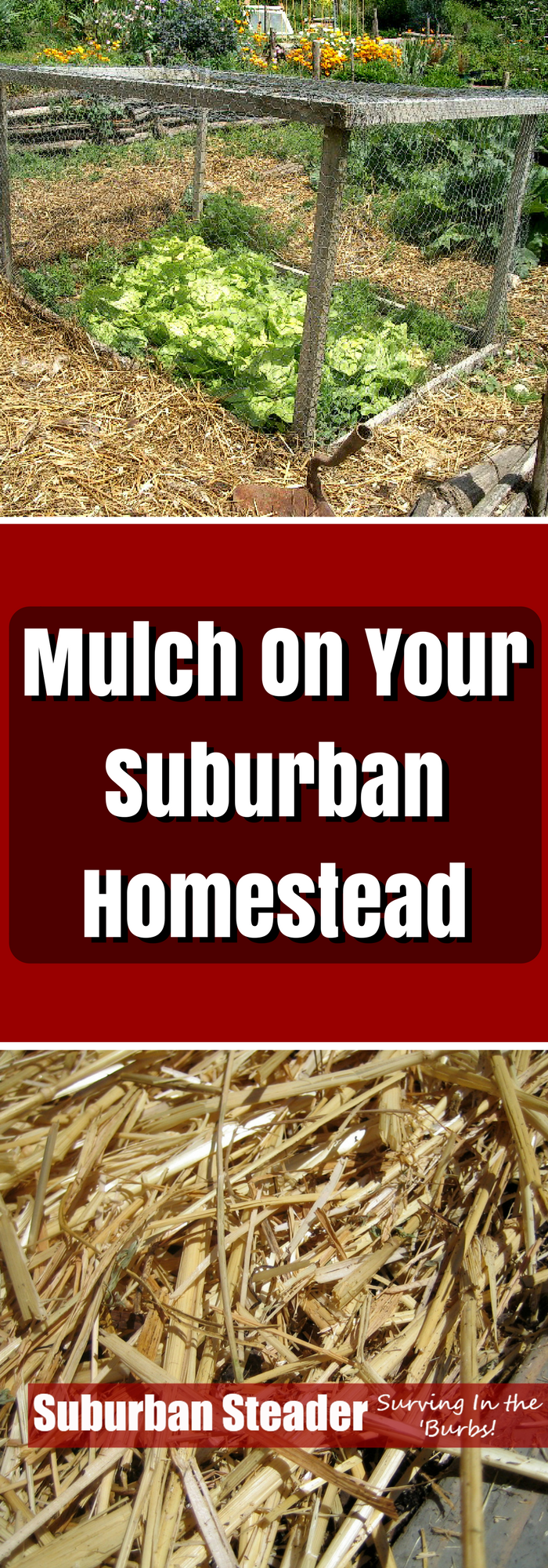Mulch and Your Suburban Homestead