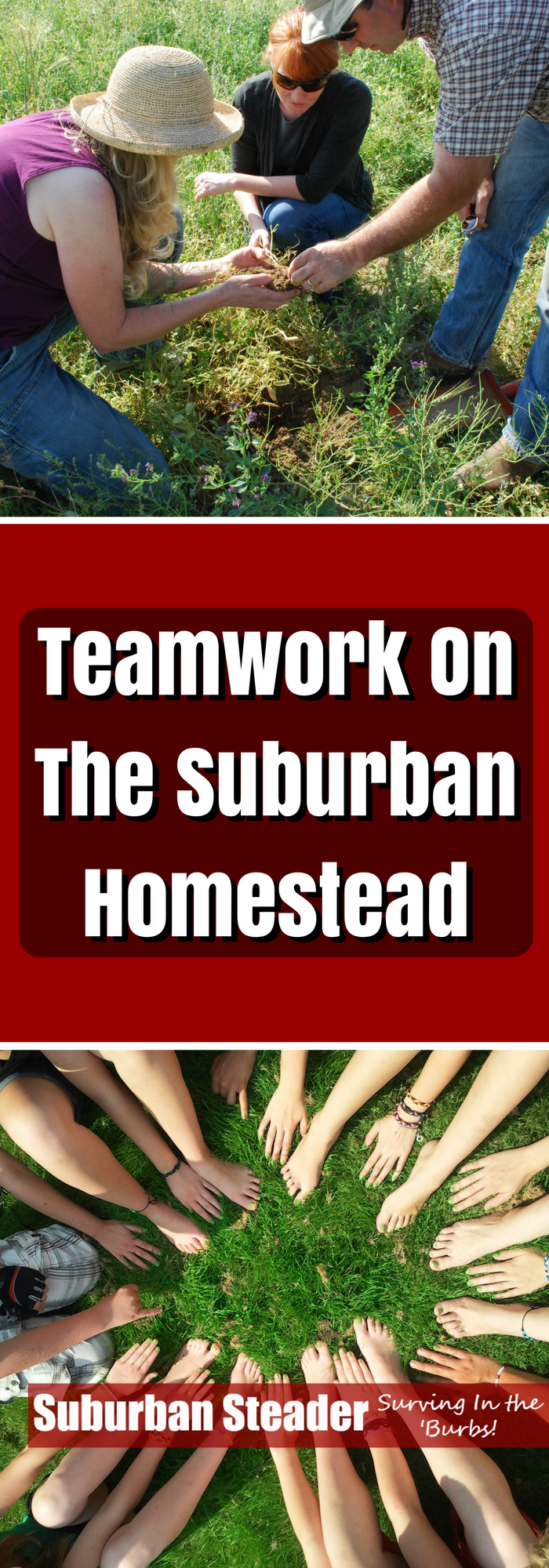 Teamwork On The Suburban Homestead