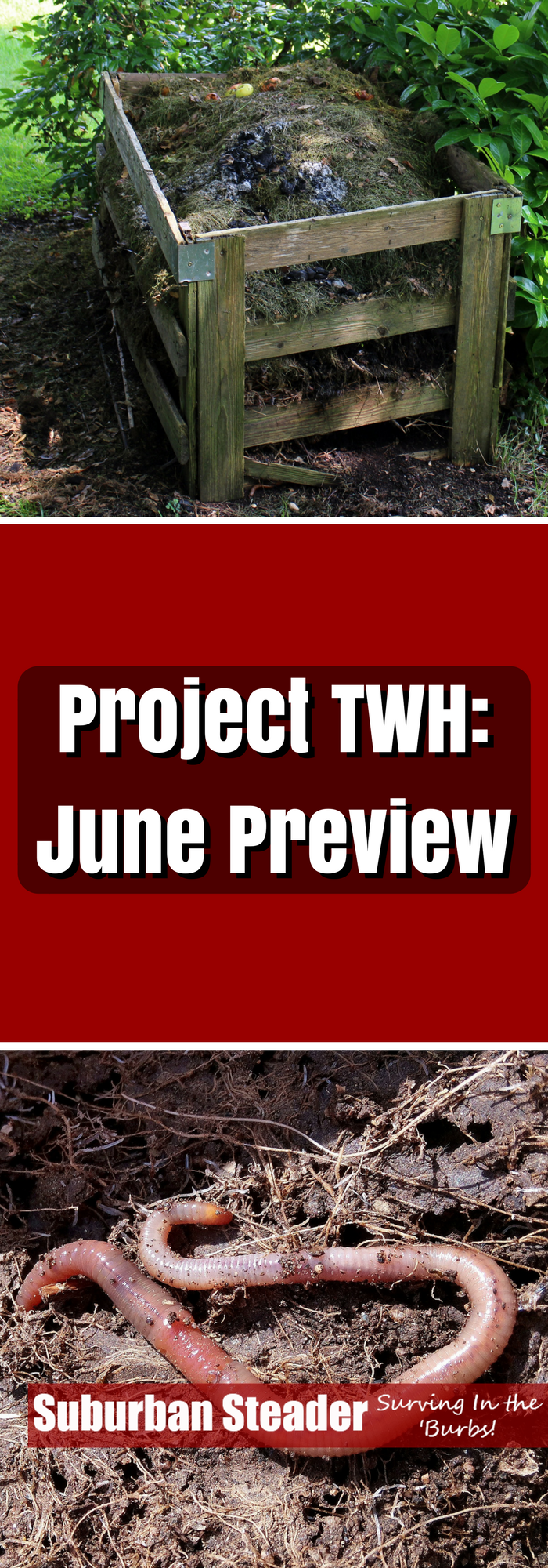 June Preview - Project TWH