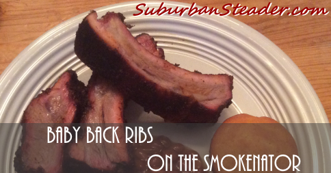 Baby Back Ribs On The Smokenator