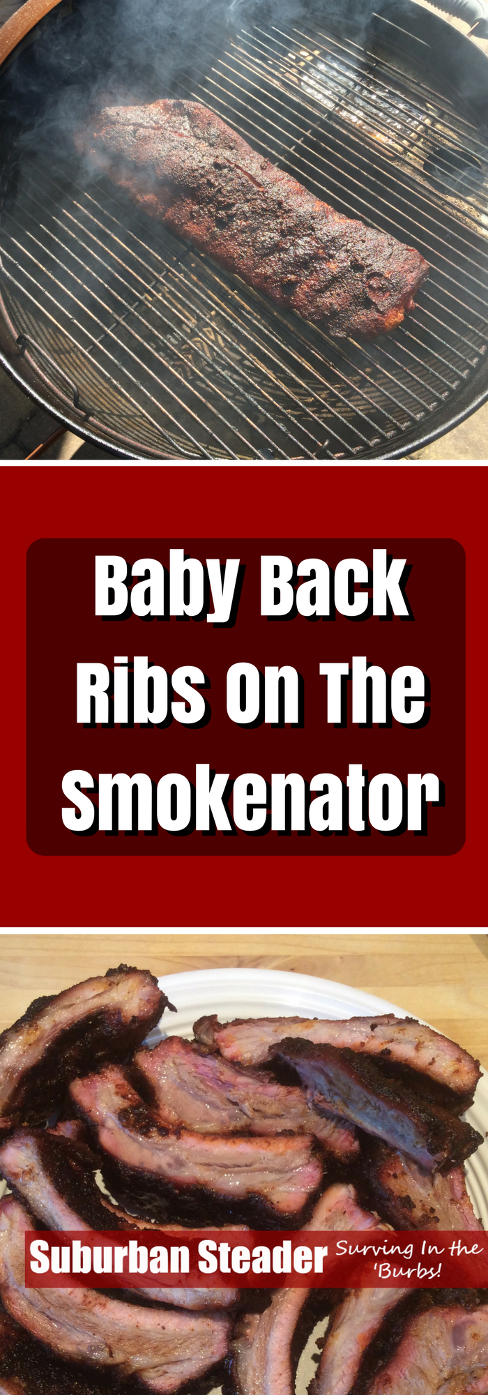 Baby Back Ribs On The Smokenator