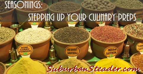 Seasoning: Stepping Up Your Culinary Preps