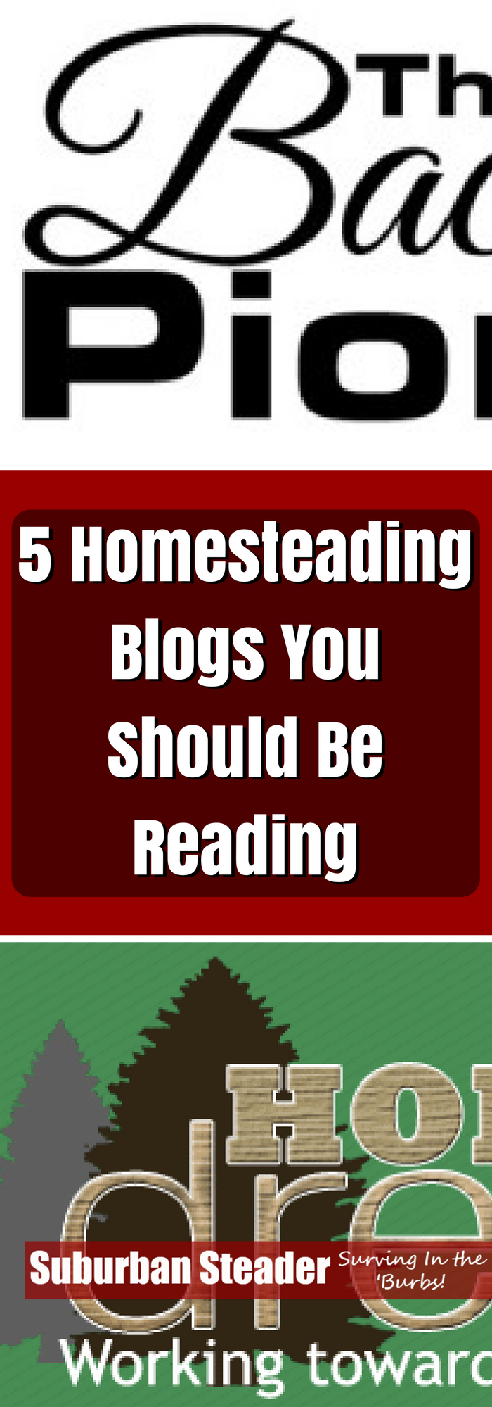 5 Homestead Blogs You Should Be Reading