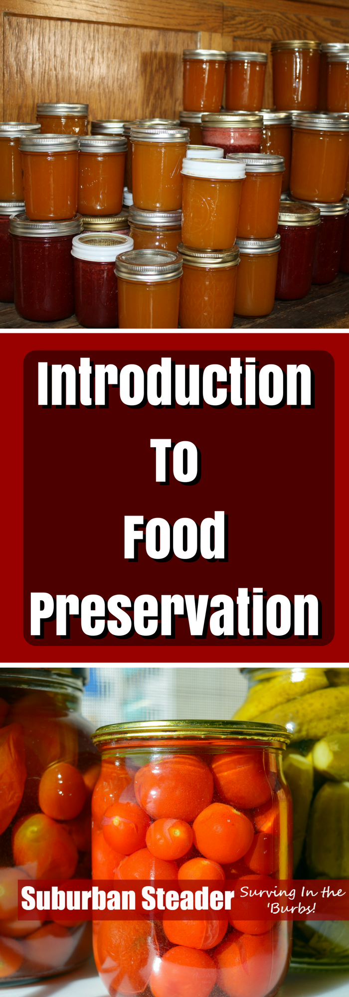 Introduction To Food Preservation