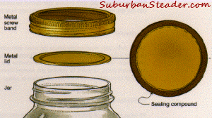 2 Piece Closure Lids - Essential Canning Equipment