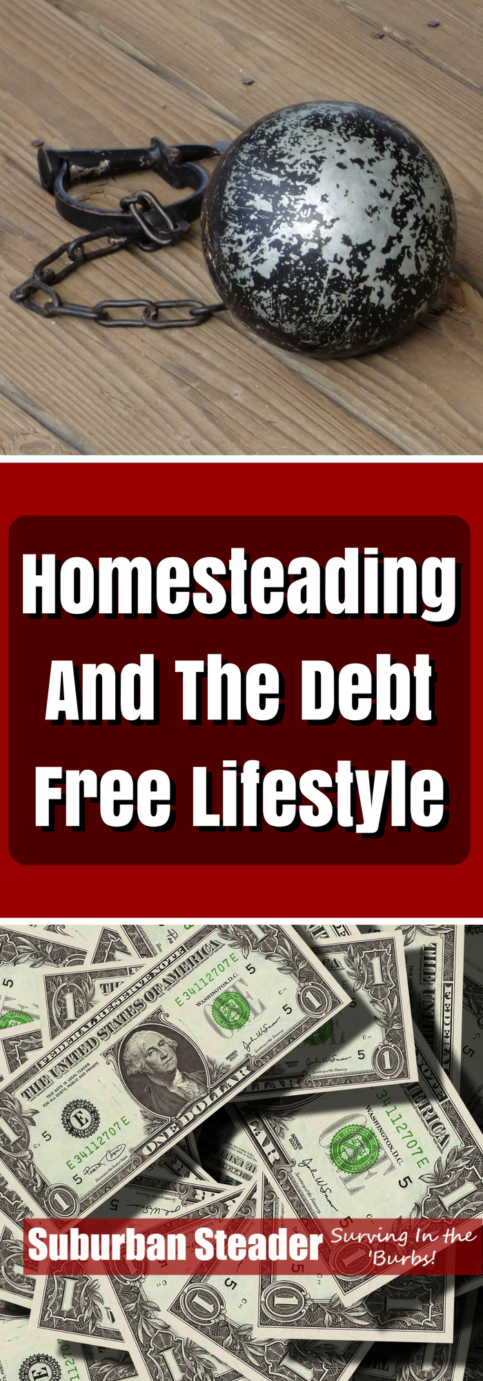 Homesteading & Debt Free Lifestyle