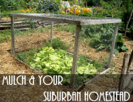 Mulch and Your Suburban Homestead