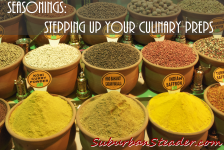 Seasonings: Stepping Up Your Culinary Preps