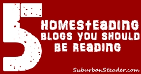 5 Homesteading Blogs You Should Be Reading