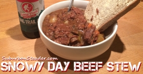 Snowy Day Beef Stew Recipe