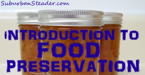 Introduction To Food Preservation