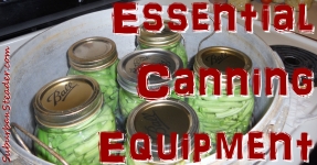 Canning Equipment: Essentials For Food Preservation