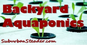 Introduction To Backyard Aquaponics