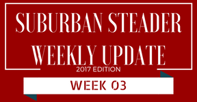 2017 Suburban Steader Update – Week 03