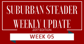 2017 Suburban Steader Update – Week 05