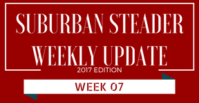 2017 Suburban Steader Update – Week 07