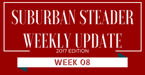 2017 Suburban Steader Update – Week 08