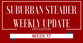 2017 Suburban Steader Update – Week 17