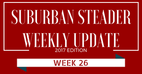 2017 Suburban Steader Update – Week 26