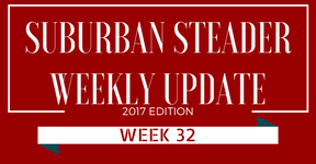 2017 Suburban Steader Update – Week 32